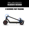 Xstarship Nulife/ FREEBOY J-03-jumi 350W/250W 8.5“ Mini E-Scooter Smart Balance Foldable
